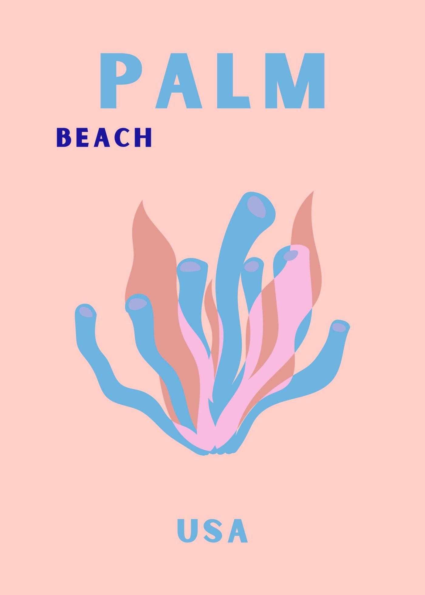 Palm Beach, Roze Koraal