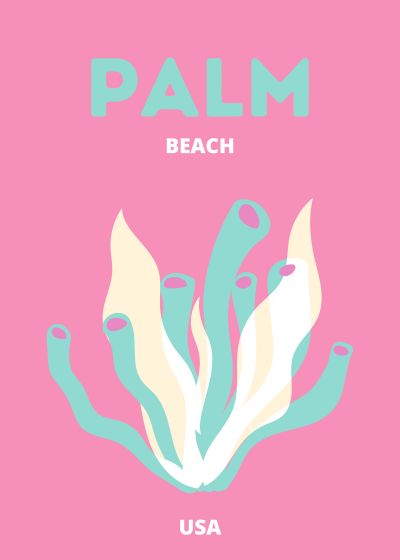 Palm Beach, Groene Palmboom