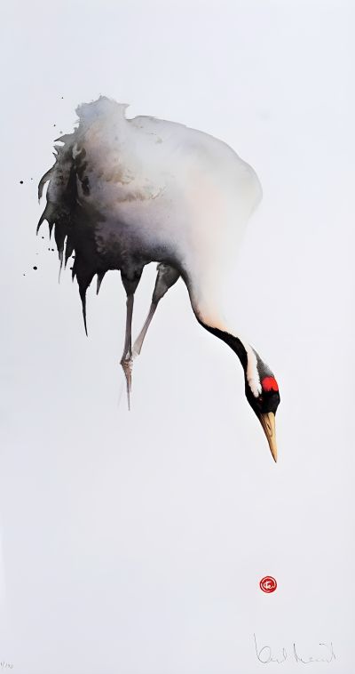 Kraanvogel met Rode Kop