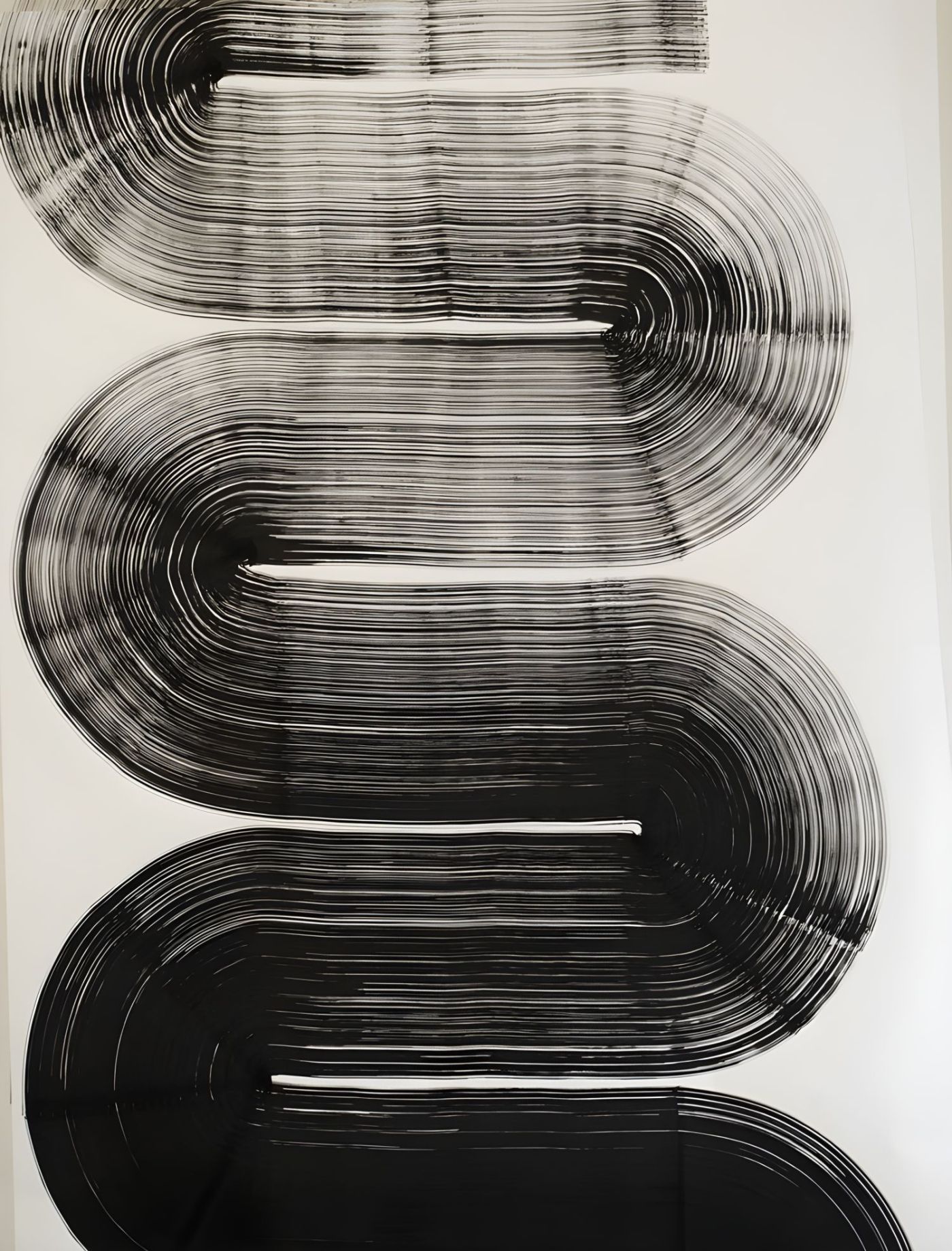 Serpentine in Zwart-Wit