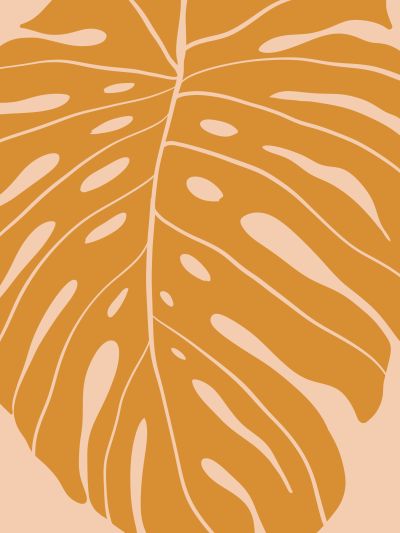 Monstera met Open Aderen