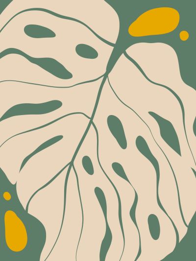 Monstera met Accenten