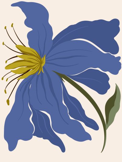 Blauwe Lelie op Crème