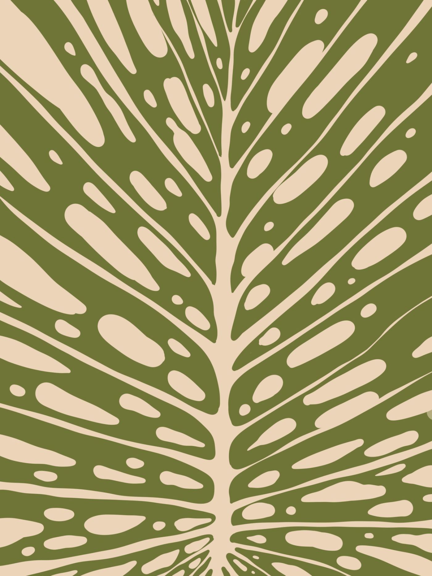 Monstera met Dik Aderpatroon