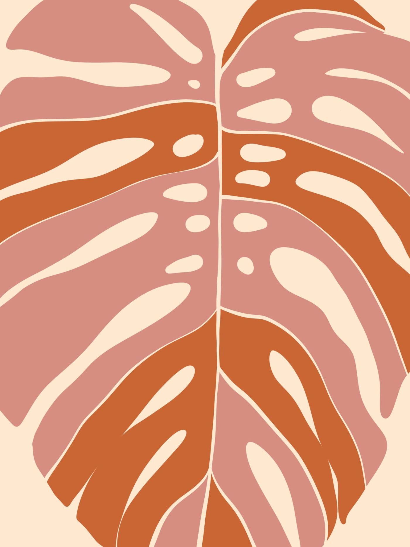 Monstera in Tweeën