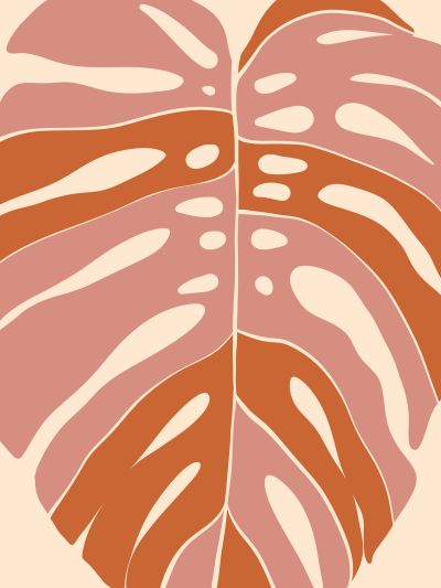 Monstera in Tweeën