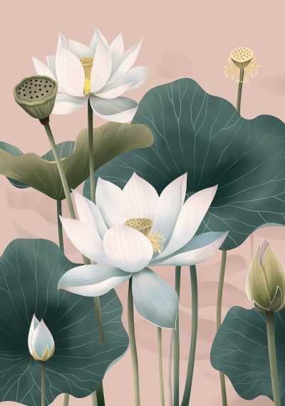 Witte Lotusbloemen op Roze