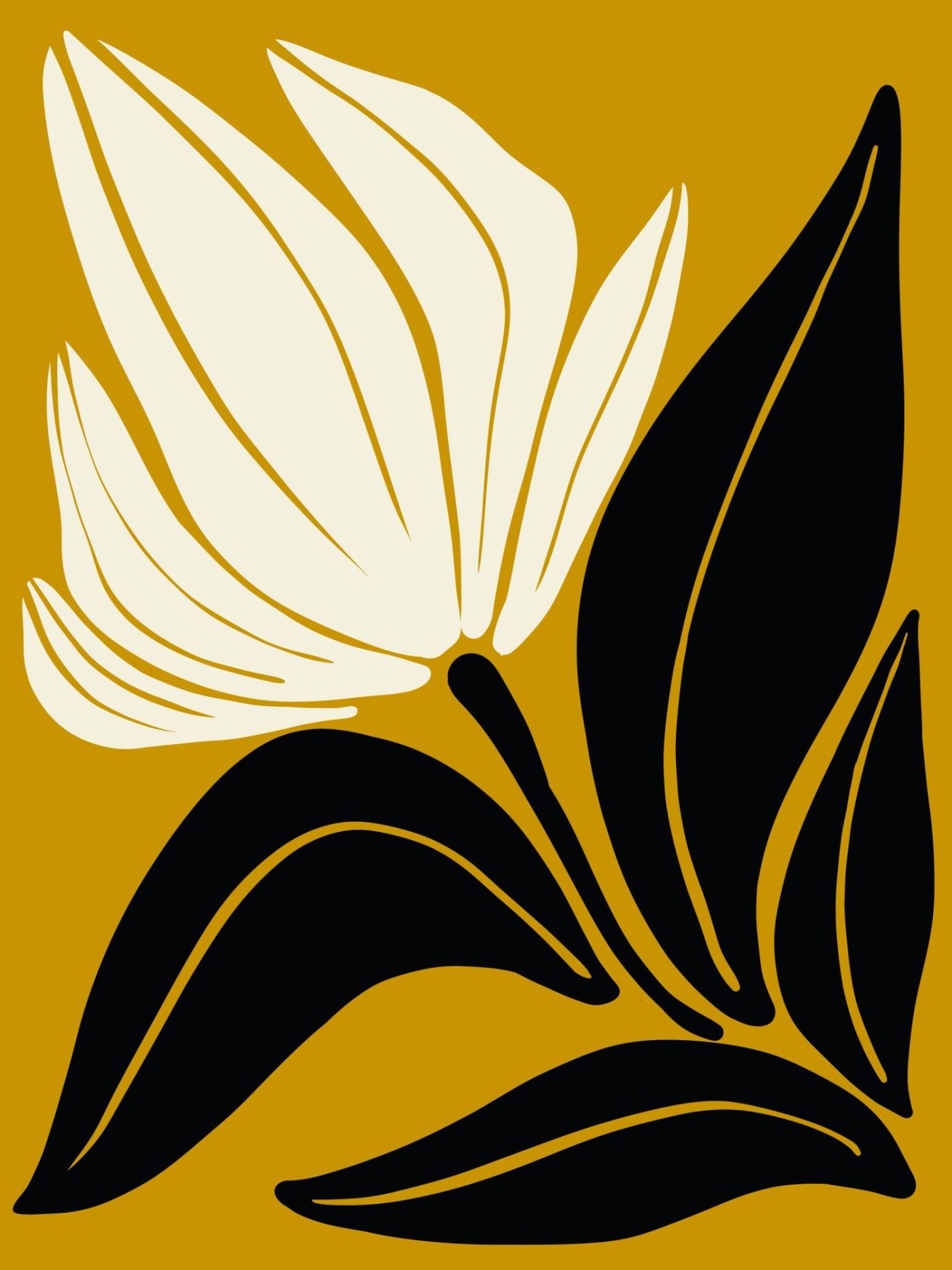 Witte Tulp op Goudgeel