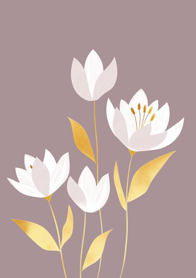 Witte Tulpen op Mauve