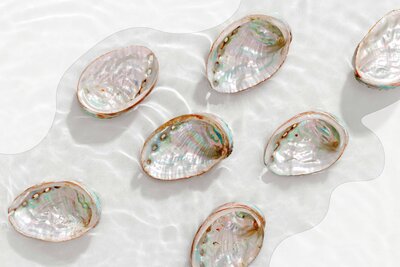 Groep Witte Oesters