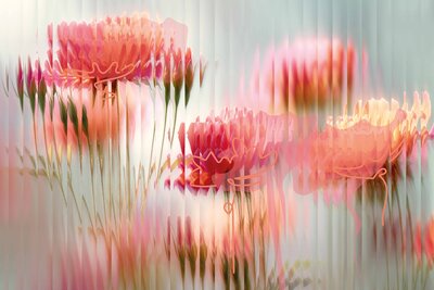 Gerbera's achter Geribbeld Glas