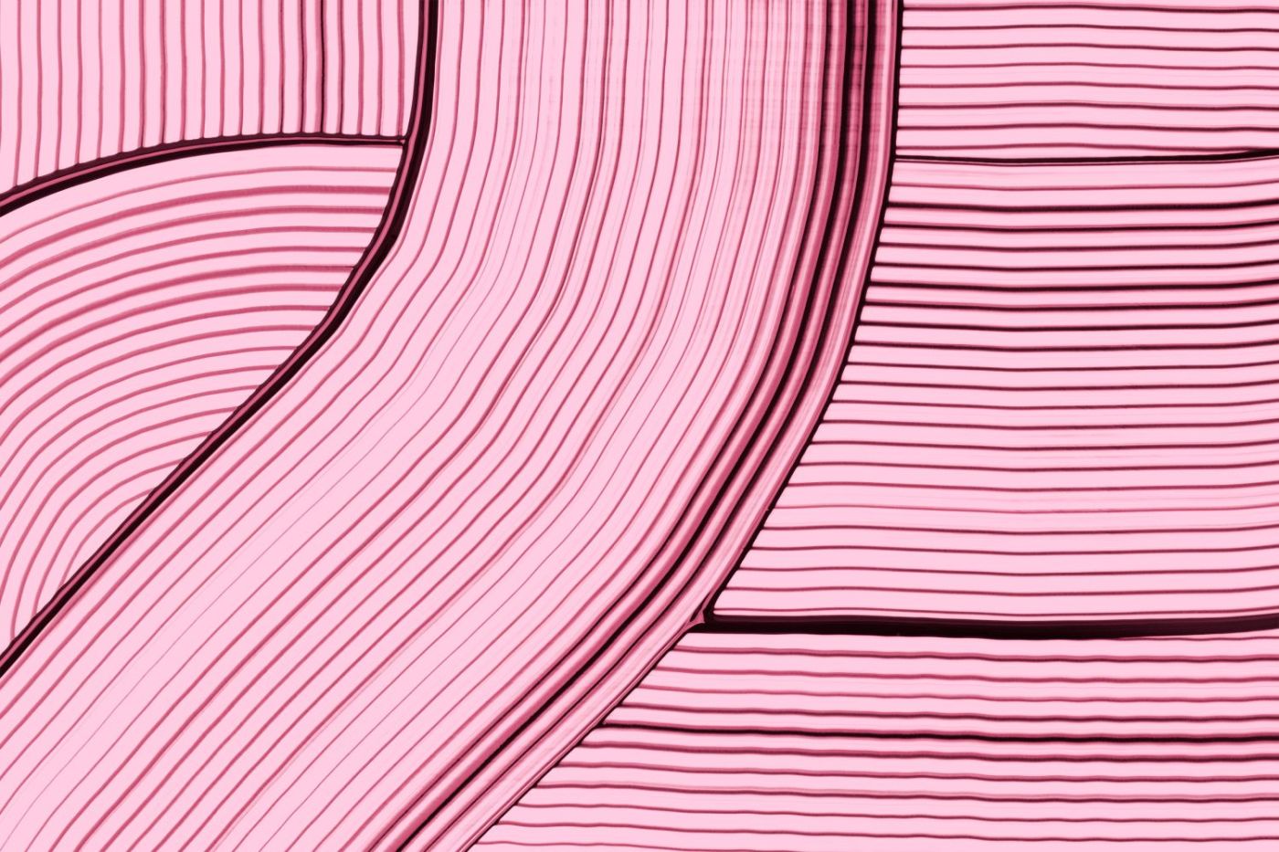 Boogcompositie in Roze
